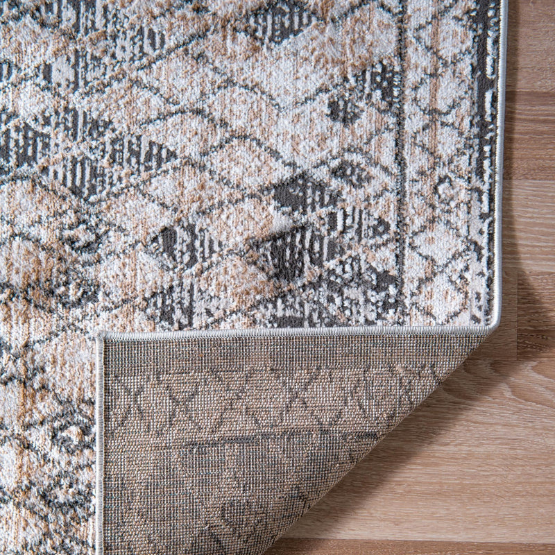 Dresden Elegance Collection Area Rug -  Zittau Rectangle Beige  lifestyle 41
