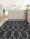 Garden Lattice Oasis Collection Area Rug -  Gazebo Rectangle Charcoal  lifestyle 11
