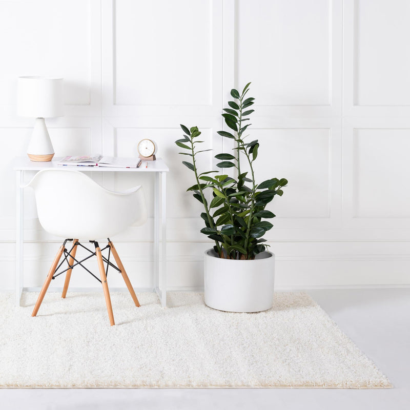 Cozy Comfort Shag Collection Area Rug - Haven (White) Rectangle White  lifestyle 4