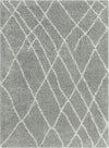 Cozy Haven Shag Collection Area Rug - Serenity (Cloud Gray) Rectangle Cloud Gray  lifestyle 4