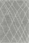 Cozy Haven Shag Collection Area Rug - Serenity (Cloud Gray) Rectangle Cloud Gray  lifestyle 3