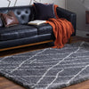 Cozy Haven Shag Collection Area Rug - Serenity (Pebble Gray) Rectangle Pebble Gray  lifestyle 2