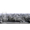 Cozy Haven Shag Collection Area Rug - Serenity (Pebble Gray) Rectangle Pebble Gray  lifestyle 20