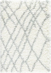 Cozy Haven Shag Collection Area Rug - Serenity (Ivory) Rectangle Ivory  lifestyle 2