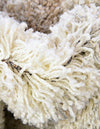 Cozy Haven Shag Collection Area Rug -  Tranquility (Khaki) Round Khaki  lifestyle 30
