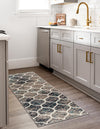 Lattice Garden Collection Area Rug -  Pergolatown (Blue Multi) Runner Blue Multi  lifestyle 13