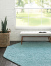 Cozy Comfort Shag Collection Area Rug - Hearthside (Turquoise) Octagon Turquoise  lifestyle 13