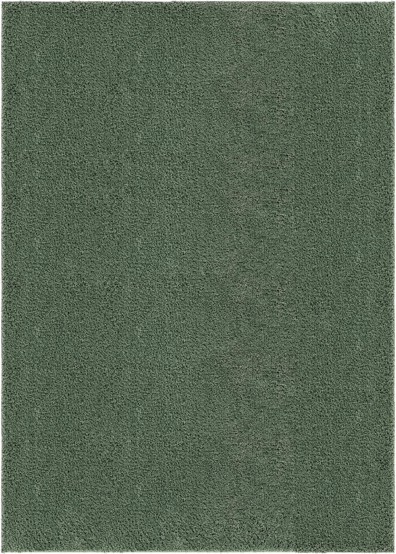 Cozy Comfort Shag Collection Area Rug - Hearthside (Green) Rectangle Green  lifestyle 2