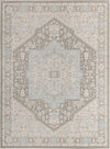 Savannah Series Collection Area Rug - Charleston (Cloud Gray) Rectangle Cloud Gray Main