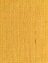 Woven Seaside Jute Collection Area Rug - Savannah (Yellow) Rectangle Yellow Main