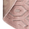 Garden Lattice Charm Collection Area Rug - Arbor (Pink) Round Pink  lifestyle 47