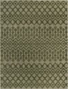 Garden Lattice Charm Collection Area Rug -  Pergola (Green) Rectangle Green Main