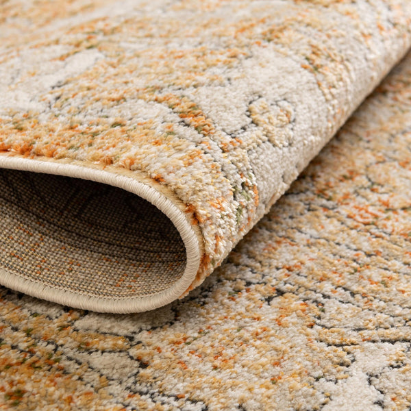 Savannah Soiree Collection Area Rug -  Everglade (Beige) Rectangle Beige  lifestyle 3