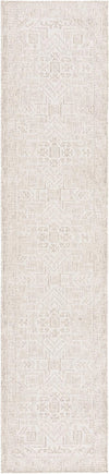 Tribal Terrace Treasures Collection Area Rug - Mayan Marina (Light Gray) Runner Light Gray Main