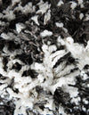 Tranquil Tides Shag Collection Area Rug -  Azure Round Black and White  lifestyle 96