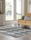 Tranquil Tides Shag Collection Area Rug -  Pebble Rectangle Gray  lifestyle 8