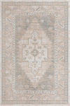 Savannah Series Collection Area Rug -  Augusta (Mink) Rectangle Mink  lifestyle 3