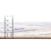 Sierra Sands Collection Area Rug -  Kalahari Rectangle Sandy Beige  lifestyle 5