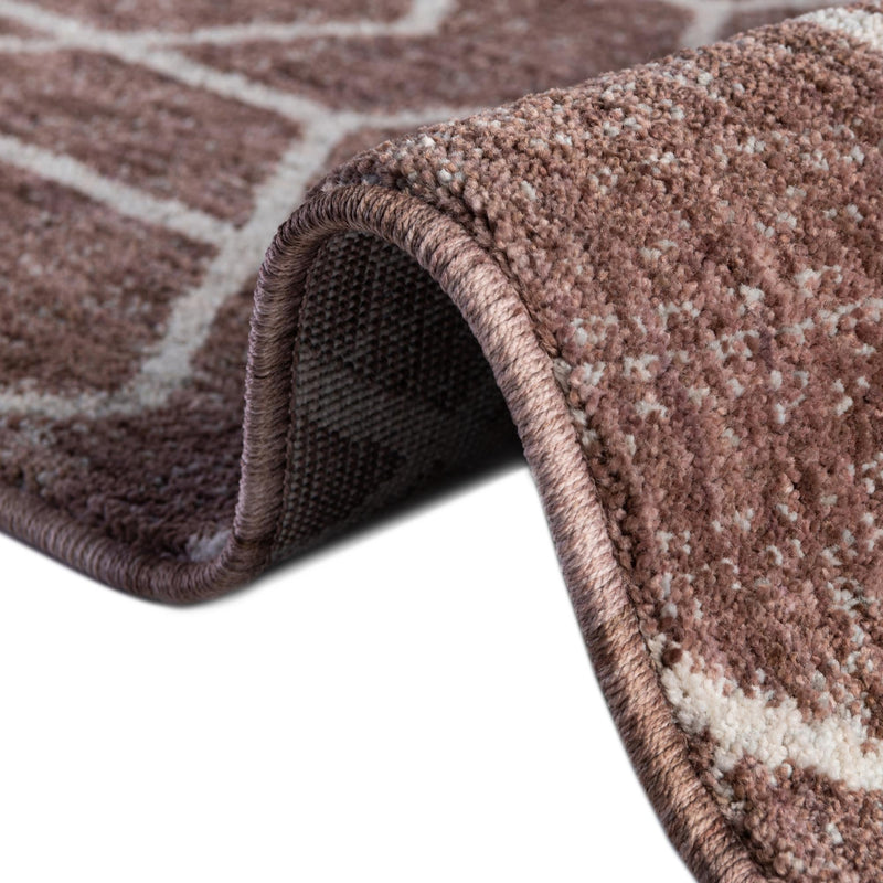 Geo Garden Lattice Collection Area Rug - Savannah Rectangle Dusty Rose  lifestyle 17