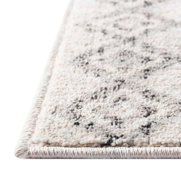 Geo Garden Lattice Collection Area Rug -  Andalusia Rectangle Ivory  lifestyle 64