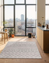 Geo Garden Lattice Collection Area Rug -  Andalusia Rectangle Gray  lifestyle 42