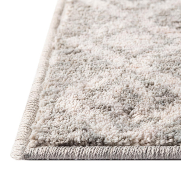 Geo Garden Lattice Collection Area Rug -  Andalusia Rectangle Gray  lifestyle 65