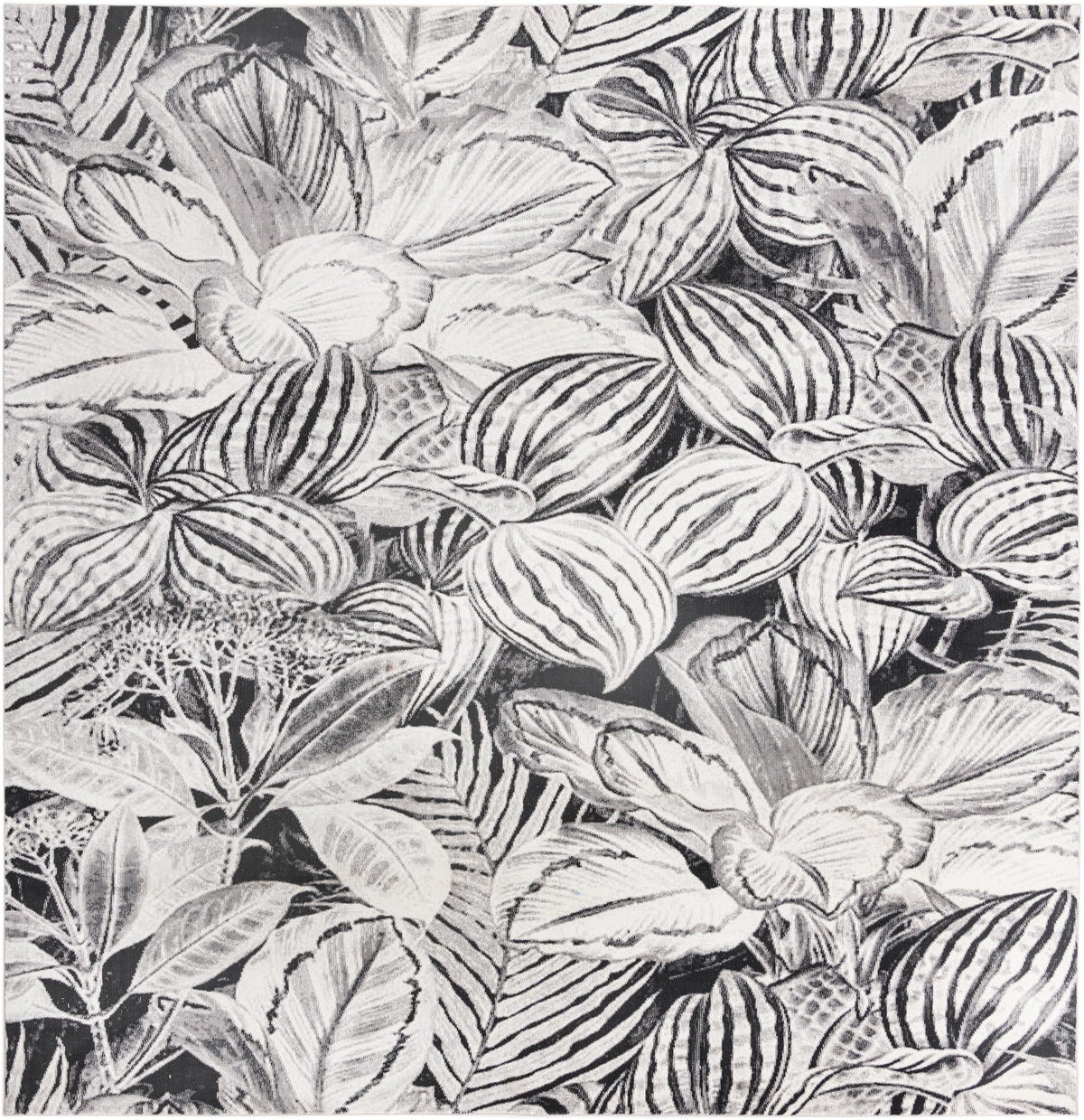 Meadow Breeze Collection Area Rug -  Bluebell Square Charcoal  lifestyle 29