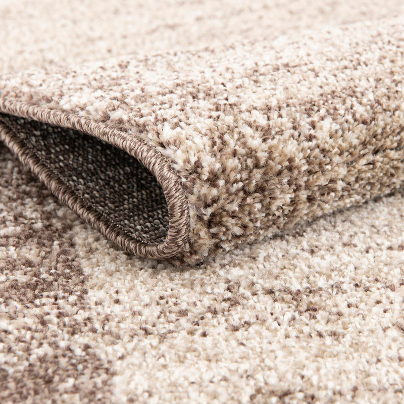 Studio Haven Collection Area Rug -  Conservatory (Light Brown) Rectangle Light Brown  lifestyle 8