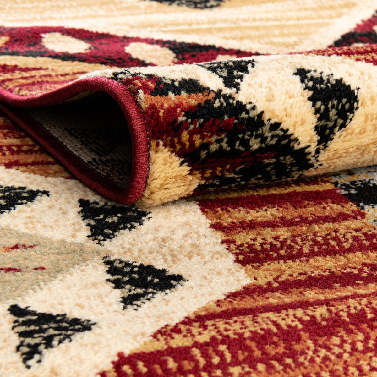 Frontier Trails Collection Area Rug -  Mesa Rectangle Multi  lifestyle 12