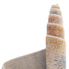 Sahara Elegance Collection Area Rug -  Tangier Rectangle Multi  lifestyle 10