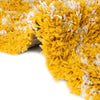 Berber Lattice Shag Collection Area Rug - Atlas (Yellow) Rectangle Yellow  lifestyle 17