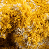 Berber Lattice Shag Collection Area Rug - Atlas (Yellow) Runner Yellow  lifestyle 7