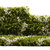 Lattice Loft Shag Collection Area Rug - Soho (Green) Runner Green  lifestyle 13