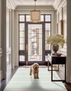 Thar Cotton Collection Area Rug - Borsh Rectangle Aqua and White  lifestyle 47