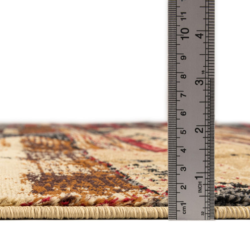 Neptune Elegance Collection Area Rug - Triton Rectangle Multi  lifestyle 4
