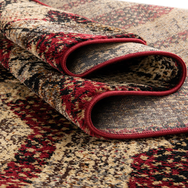 Neptune Elegance Collection Area Rug -  Larissa Rectangle Burgundy  lifestyle 43