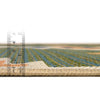 Coastal Terrace Collection Area Rug -  Oceanview Rectangle Green  lifestyle 7