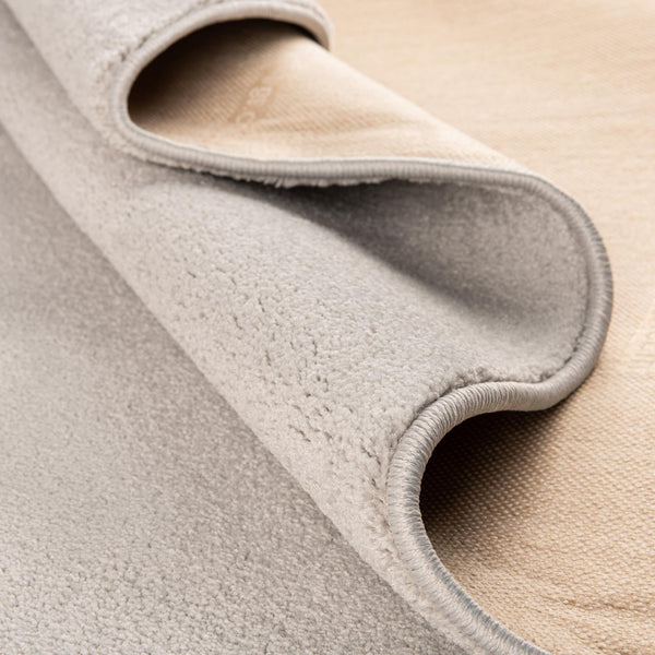 Everyday Elegance Collection Area Rug - Serenity (Cloud Gray) Rectangle Cloud Gray  lifestyle 11