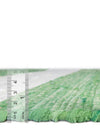 Tassel Trail Collection Area Rug - Pathway (Green and Ivory) Rectangle Green and Ivory  lifestyle 13