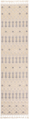 Sierra Sands Collection Area Rug -  Mesa Runner Sandy Beige  lifestyle 32