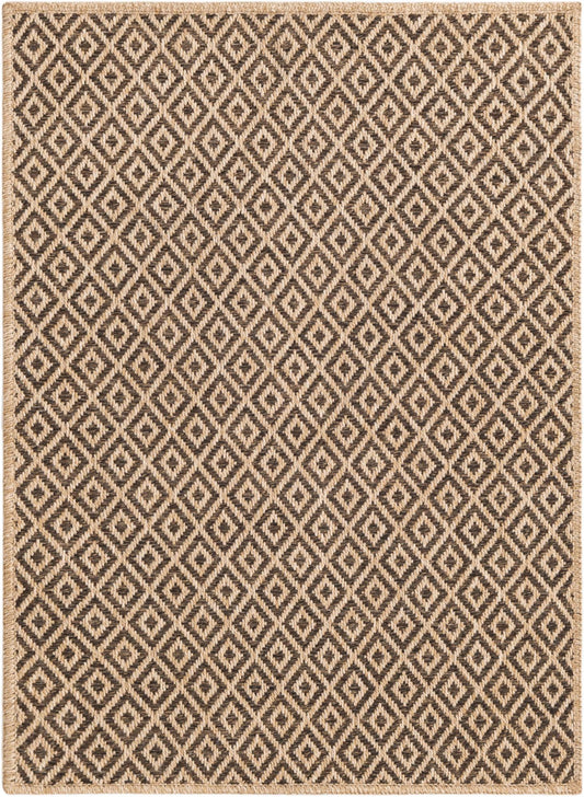Sahara Sands Collection Area Rug -  Amarna Rectangle Natural and Brown Main