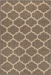Sahara Sands Collection Area Rug -  Dahshur Rectangle Brown Main