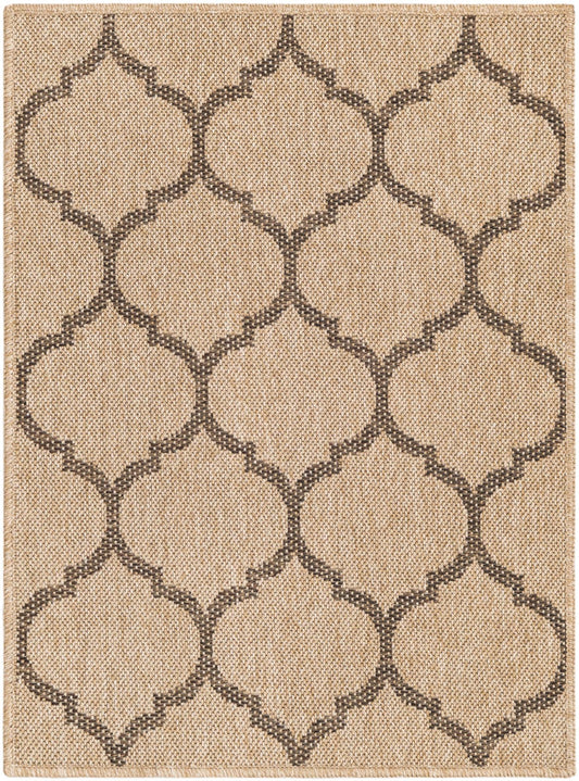 Sahara Sands Collection Area Rug -  Dahshur Rectangle Natural  lifestyle 2