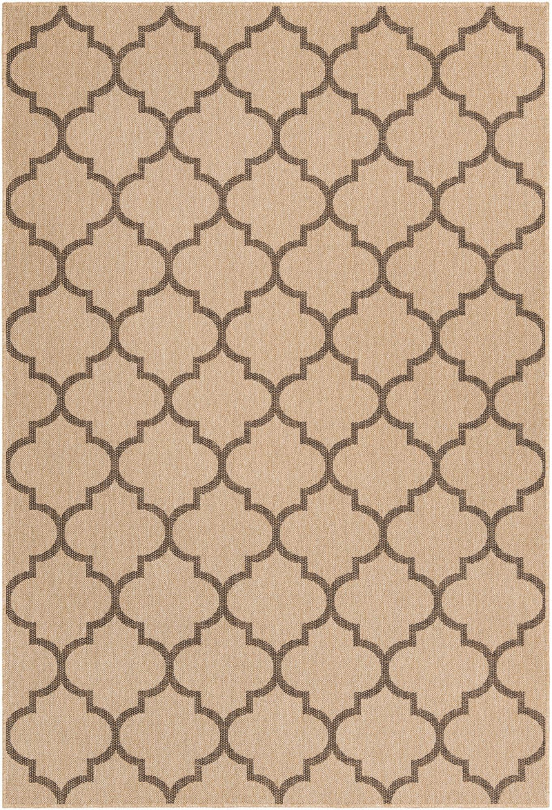 Sahara Sands Collection Area Rug -  Dahshur Rectangle Natural  lifestyle 4