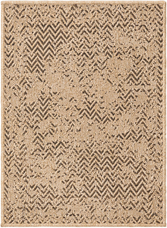 Sahara Sands Collection Area Rug -  Tanis Rectangle Natural Main
