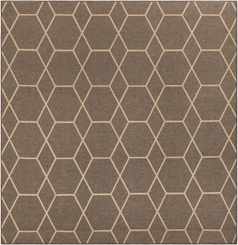 Sahara Sands Collection Area Rug -  Faiyum Square Brown  lifestyle 32