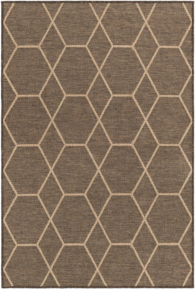 Sahara Sands Collection Area Rug -  Faiyum Rectangle Brown  lifestyle 2