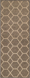 Sahara Sands Collection Area Rug -  Faiyum Runner Brown  lifestyle 33