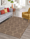Sahara Sands Collection Area Rug -  Faiyum Rectangle Brown  lifestyle 4