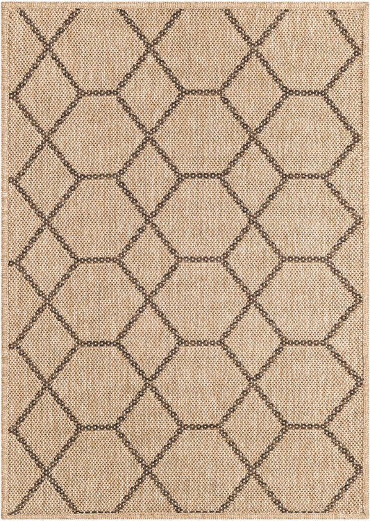 Sahara Sands Collection Area Rug -  Faiyum Rectangle Natural Main
